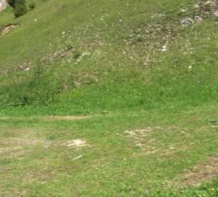 Tiefental Aichstetten