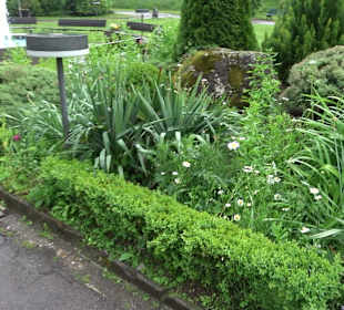 Kurgarten Alpirsbach