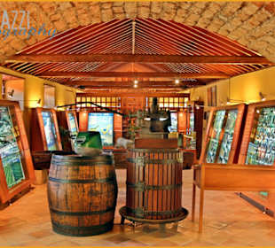 Museo de los Vinos