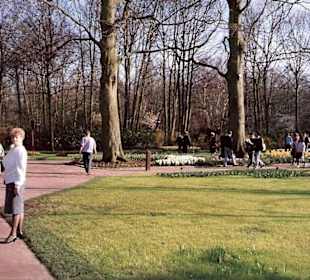 Blumenpracht im Keukenhof / Holland