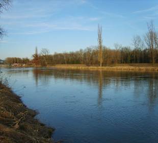 Abendsonne an der Isar