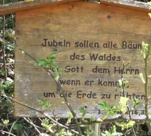 Waldlehrpfad an der Lauter