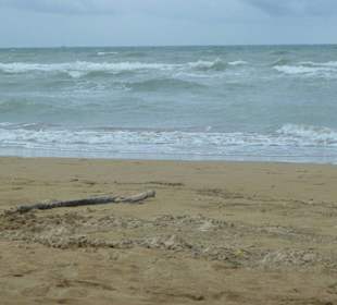 Bisschen Regen und starker WInd