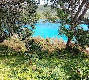 Blick auf das Meer von einem Aussichtspunkt