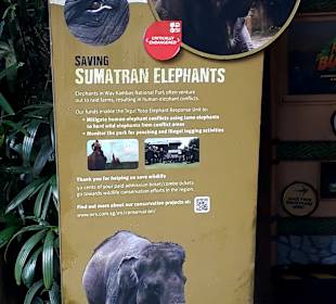 Singapur Zoo