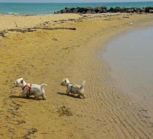 Strand von Bibione 06-2010