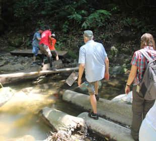 Dschungel- und Bootstour
