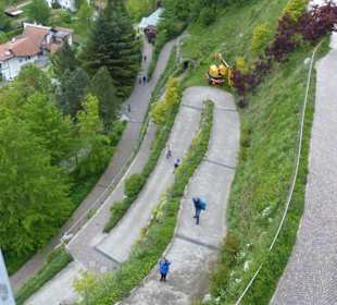 Verfschlungene Pfade