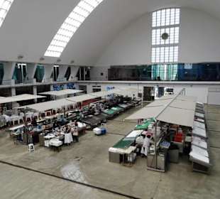 Übersicht über den Fisch-Bereich im Erdgeschoss