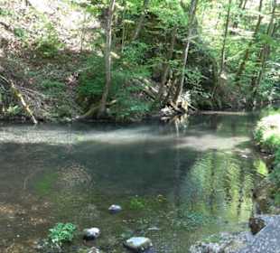 Premiumwanderweg Hochgehschätzt
