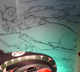 Nordamerika Native Museum