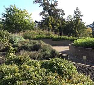 Botanischer Garten