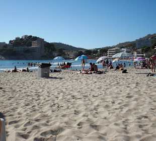 Palmira Beach in Paguera