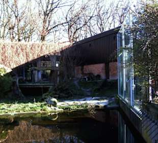 Zoo Dortmund - Die Tiere