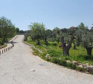 Youtube Video Becin Kalesi ansehen