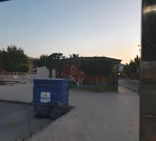 Stadtrundfahrt Alcudia