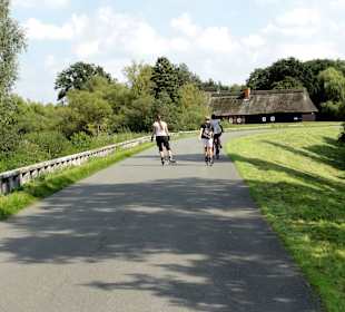 Radweg auf dem Wümmedeich durch das Blockland