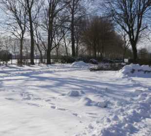 2021.02 Wandern im Schnee bei Bauer Ewald