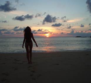 Die schönsten Sonnenuntergänge