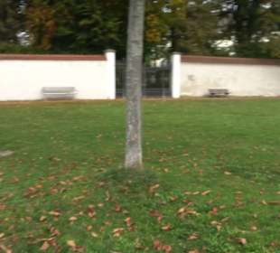 Aussichtspunkt Schlosshorn