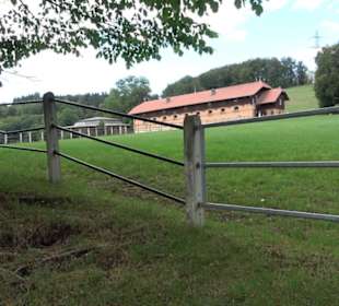 Haupt- und Landgestüt Marbach