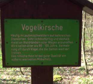 Baumlehrpfad Sontheim