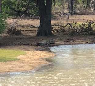 Hochland von Sri Lanka