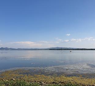 Lago Trasimeno