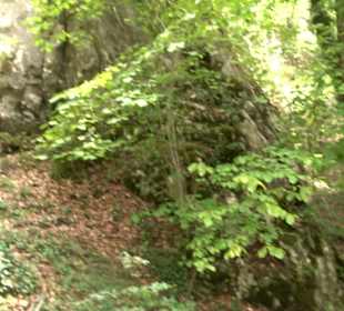 Wanderrunde Emeringen zum Rechtenstein