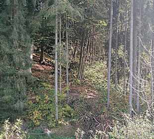 Wandern Schönberg