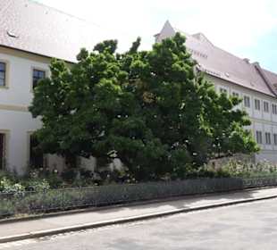 Schloß St. Emmeram