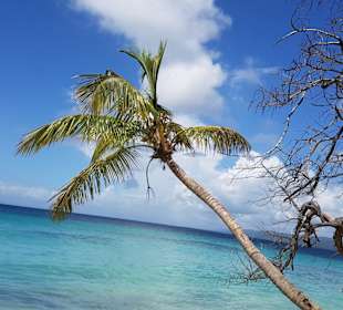 Bacardi Insel - Isla Cayo Levantado