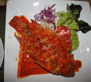 Red Snapper