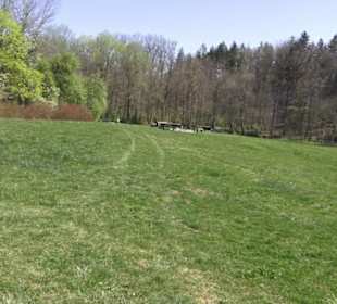 Sport- und Freizeitpark Markwasen