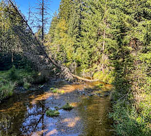 Nationalpark Bayerischer Wald