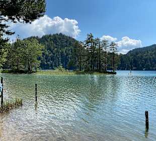 Wandern Scheffau Am Wilden Kaiser