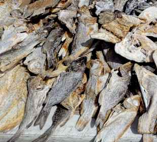 Trockenfisch