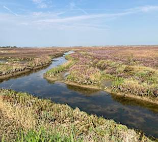 Wandern Cavallino-Treporti