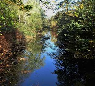 Impressionen aus dem Bürgerpark Bremerhaven