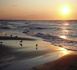 Plaża w Kołobrzegu 