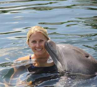 Schwimmen mit einem Delphin