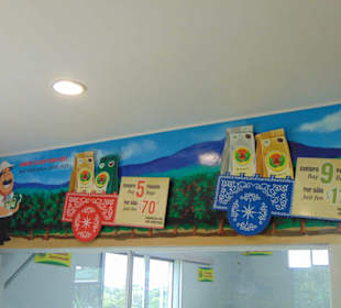 Doka Estate Kaffeeplantage