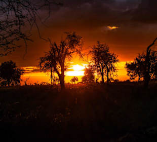 Sonnenaufgang im Tsavo Ost