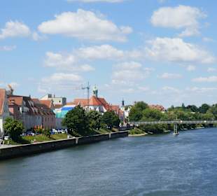 Die Donau ,hinten der Donausteg