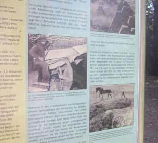 Westwallweg Oberotterbach