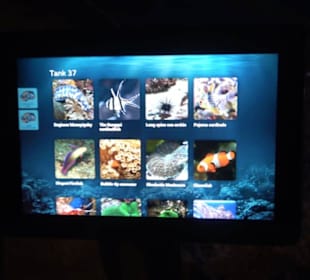 National Aquarium Malta