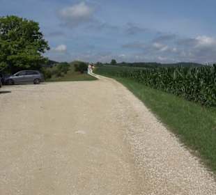 Burgruine Niederhaus