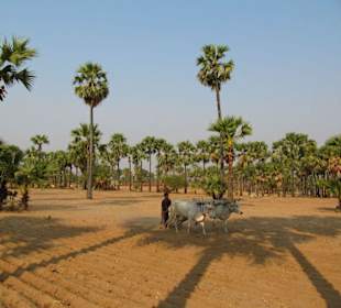 Landschaft auf dem Weg nach Popa