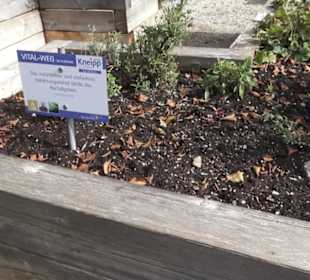 Kräutergarten