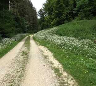 Premiumwanderweg "hochgehackert"